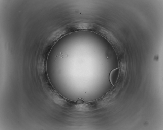 X0000097910422200803141423