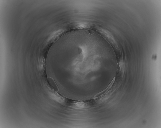 X0000097910423200803141423