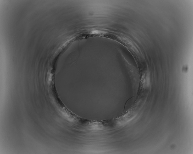 X0000097910424200803141423