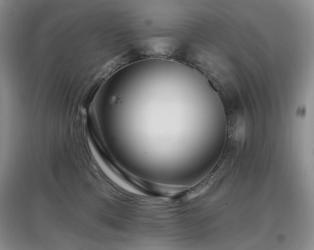 X0000097910425200803141423