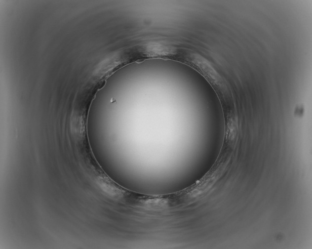 X0000097910426200803141423