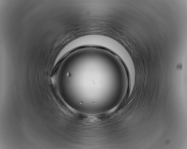 X0000097910427200803141423