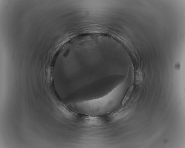 X0000097910428200803141423