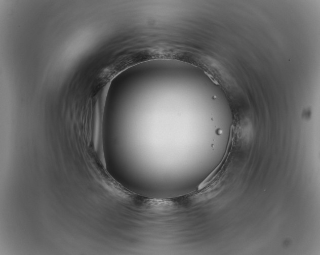 X0000097910429200803141423