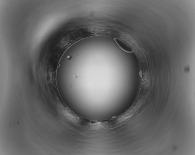 X0000097910430200803141423