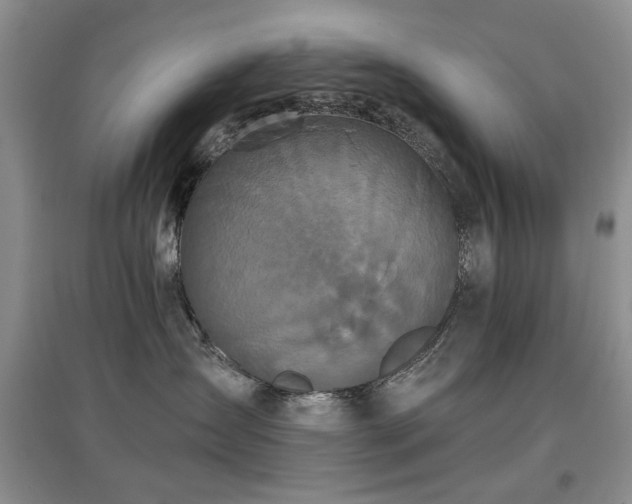 X0000097910431200803141423