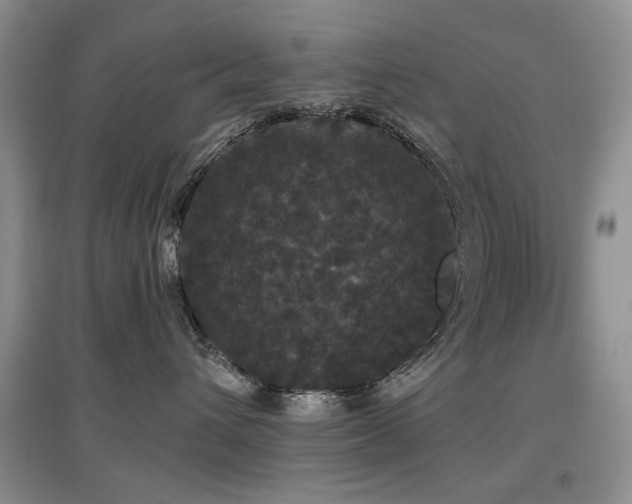 X0000097910432200803141423