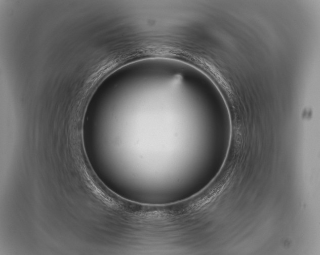 X0000097910433200803141422