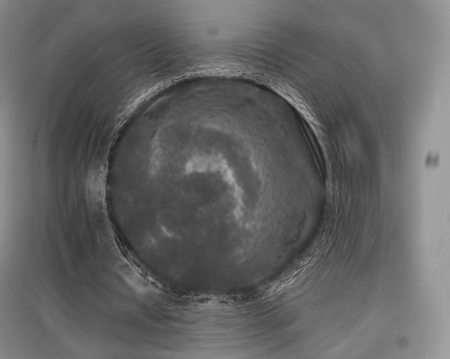 X0000097910434200803141422