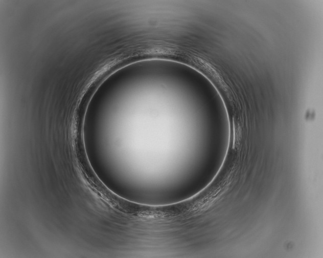 X0000097910435200803141422