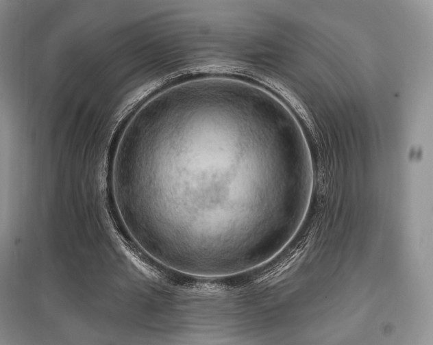 X0000097910437200803141422