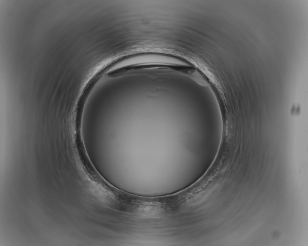 X0000097910438200803141422