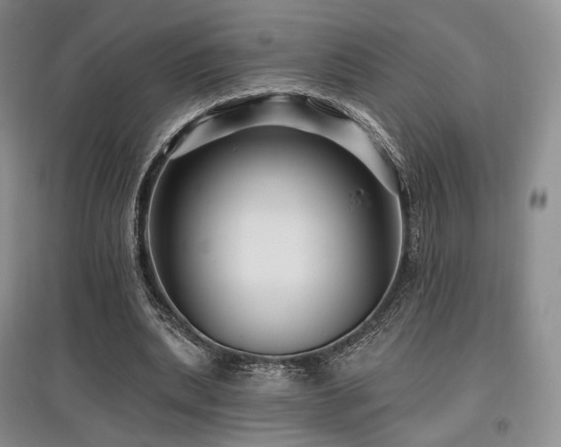 X0000097910439200803141422