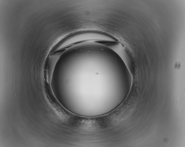 X0000097910440200803141422