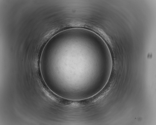 X0000097910441200803141422