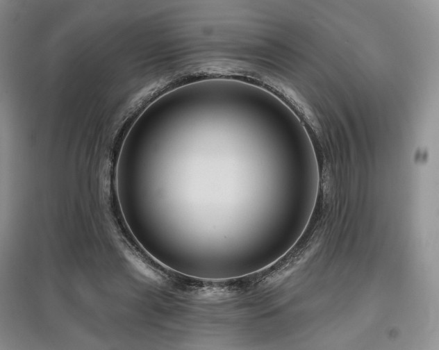 X0000097910445200803141422