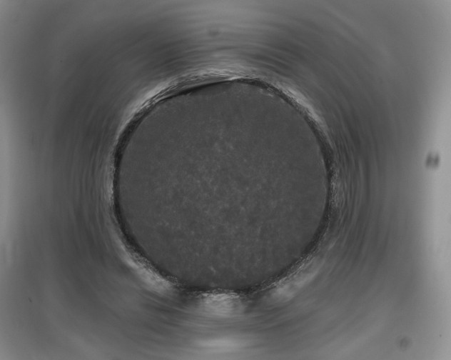 X0000097910446200803141422