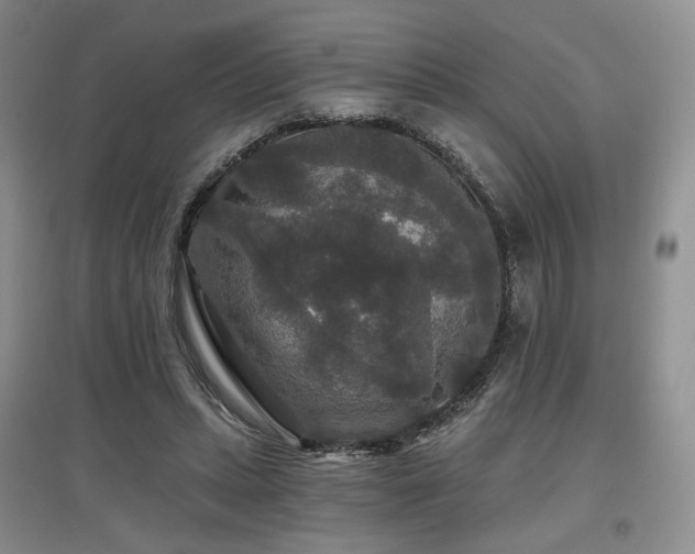 X0000097910447200803141422