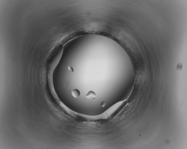 X0000097910448200803141422