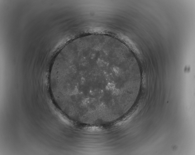 X0000097910449200803141422