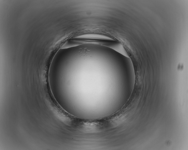 X0000097910450200803141422