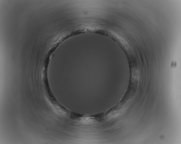 X0000097910451200803141422