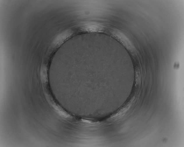 X0000097910453200803141422