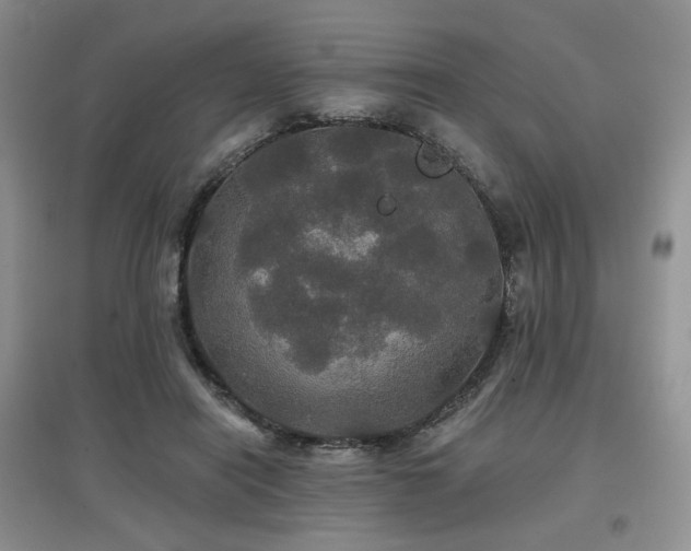 X0000097910454200803141422