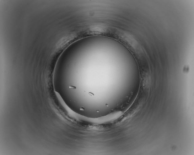 X0000097910455200803141422