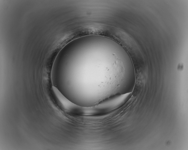 X0000097910456200803141422