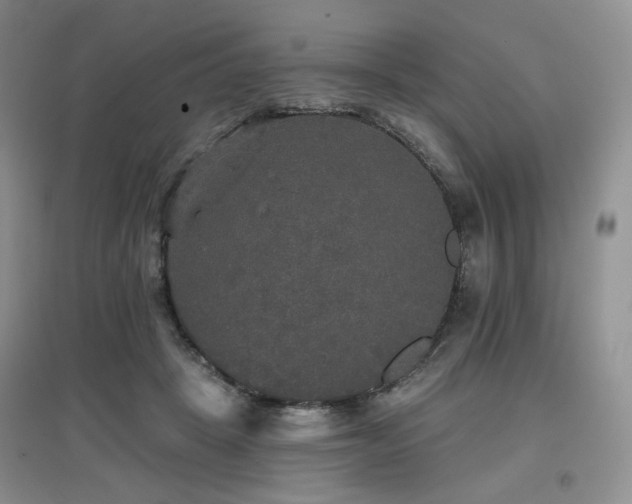 X0000097910457200803141422