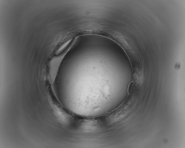 X0000097910458200803141422