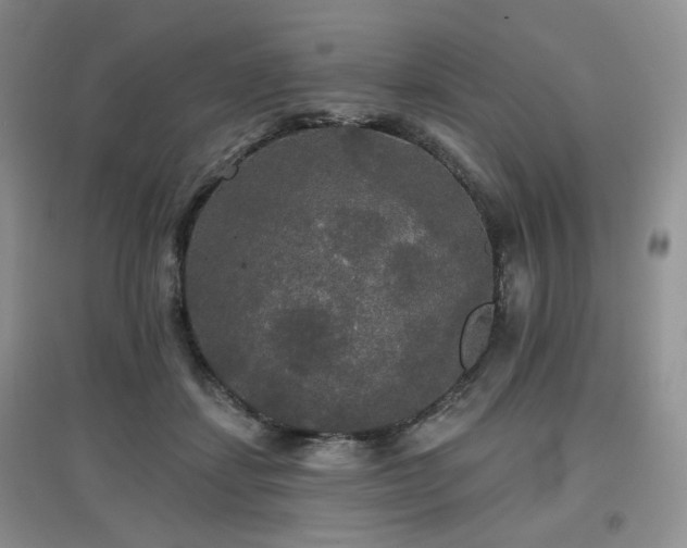 X0000097910459200803141422