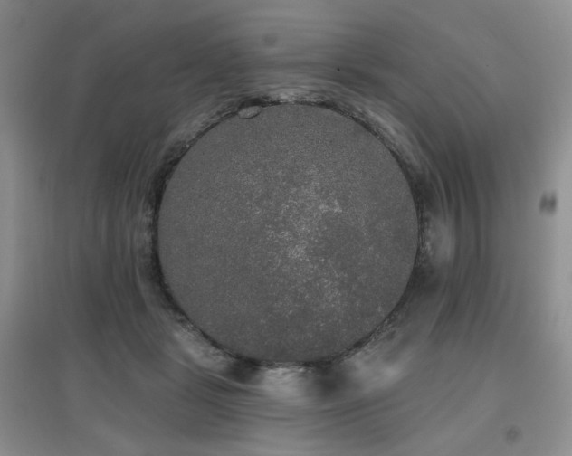 X0000097910461200803141422