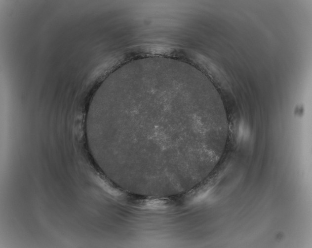 X0000097910462200803141422