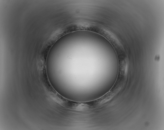 X0000097910463200803141422