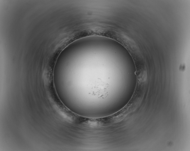 X0000097910464200803141422