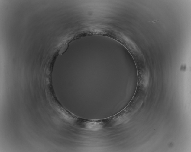 X0000097910465200803141422