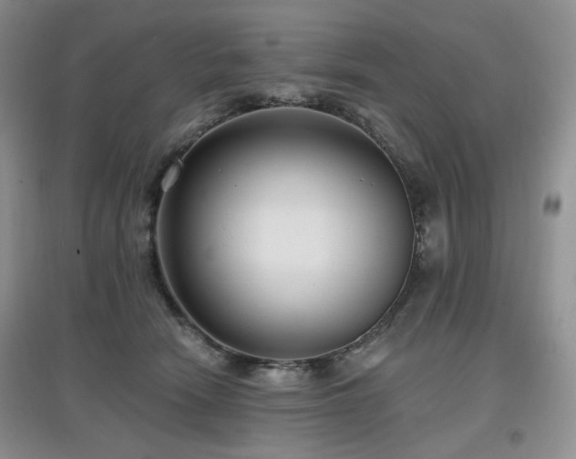 X0000097910466200803141422