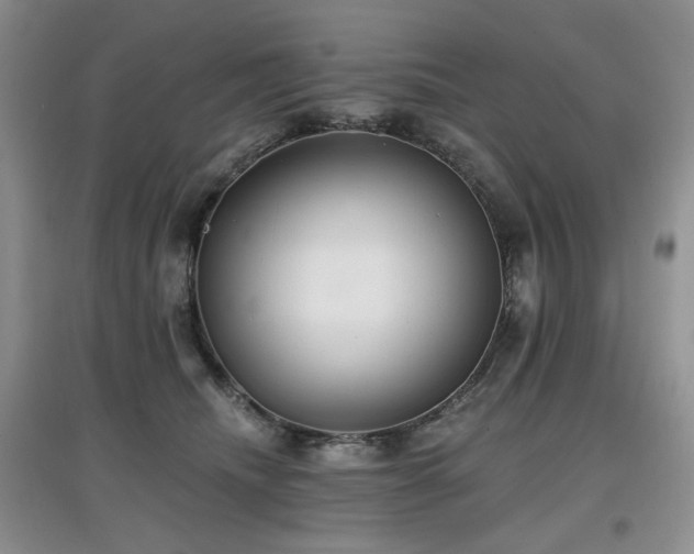 X0000097910468200803141422