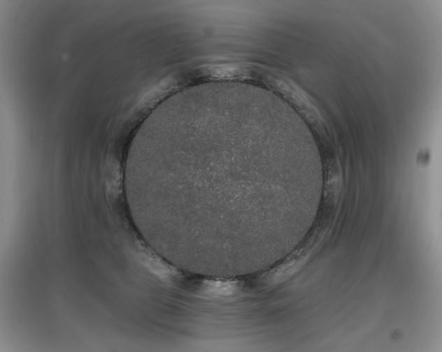 X0000097910469200803141422