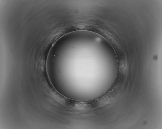 X0000097910470200803141422