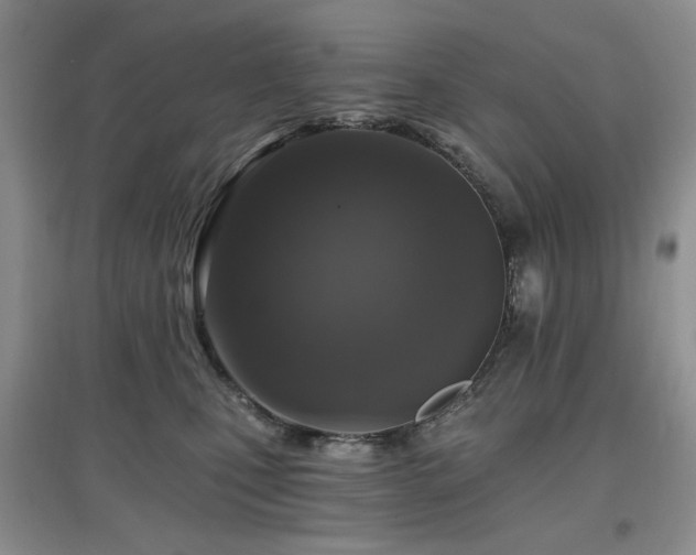 X0000097910471200803141422