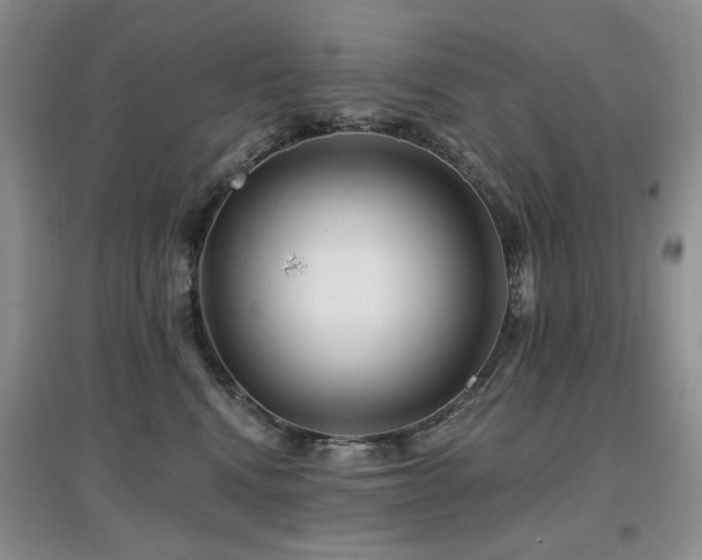 X0000097910472200803141422