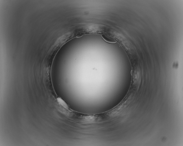 X0000097910473200803141422