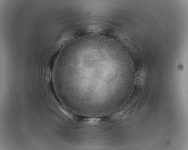 X0000097910474200803141422