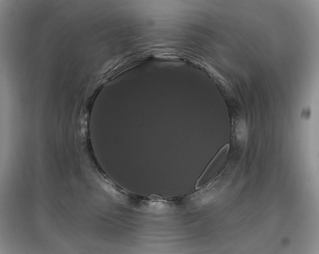 X0000097910475200803141422