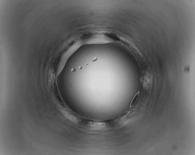 X0000097910476200803141422