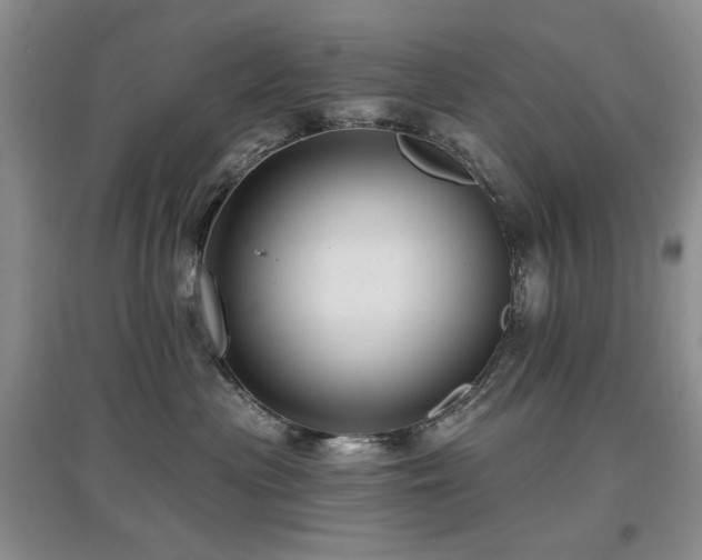 X0000097910477200803141422