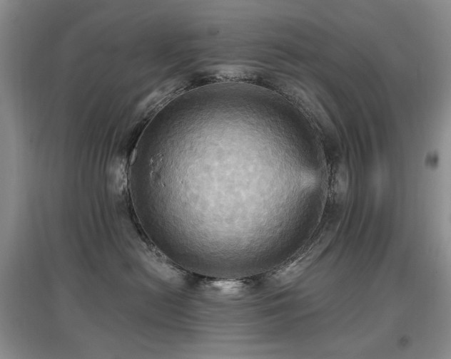 X0000097910478200803141422